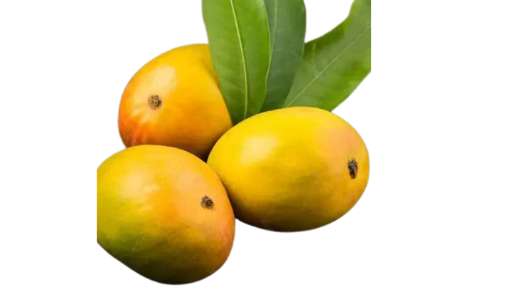 Mango Glenn